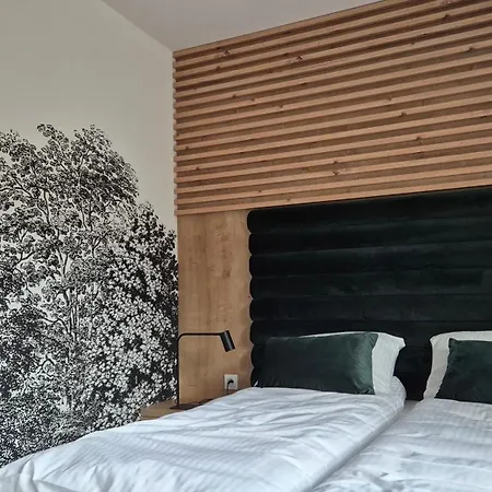 Black Hill Pod Zielencem Aurora Gold Nr3 * Duszniki Zdrój