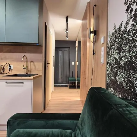 Black Hill Pod Zielencem Aurora Gold Nr3 Z Sauna *