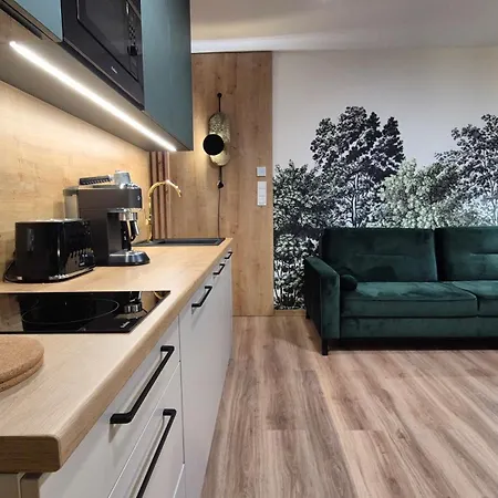 Black Hill Pod Zielencem Aurora Gold Nr3 Z Sauna Daire Duszniki Zdrój