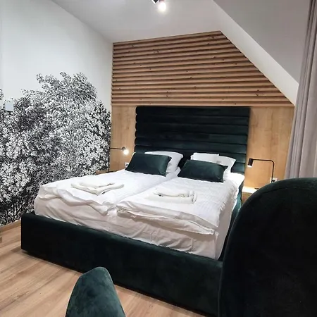 Daire Black Hill Pod Zielencem Aurora Gold Nr3 Z Sauna Duszniki Zdrój