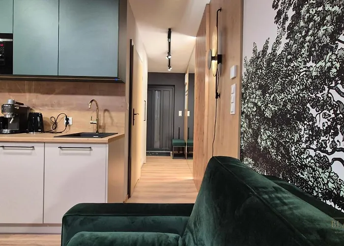 Black Hill Pod Zielencem Aurora Gold Nr3 Z Sauna *