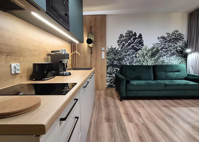 Black Hill Pod Zielencem Aurora Gold Nr3 Z Sauna Appartement Duszniki Zdrój