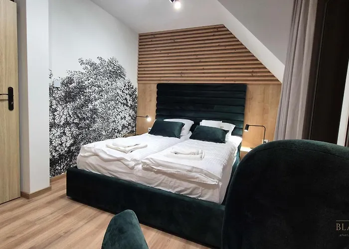 Appartement Black Hill Pod Zielencem Aurora Gold Nr3 Z Sauna Duszniki Zdrój